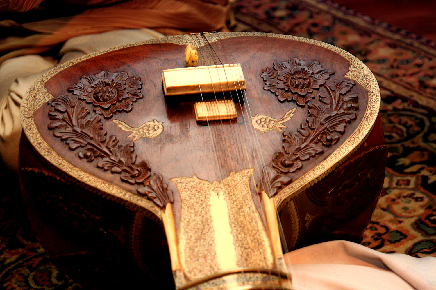 Practice Sitar... Vijay Jagtap Indian musician and teacher in London